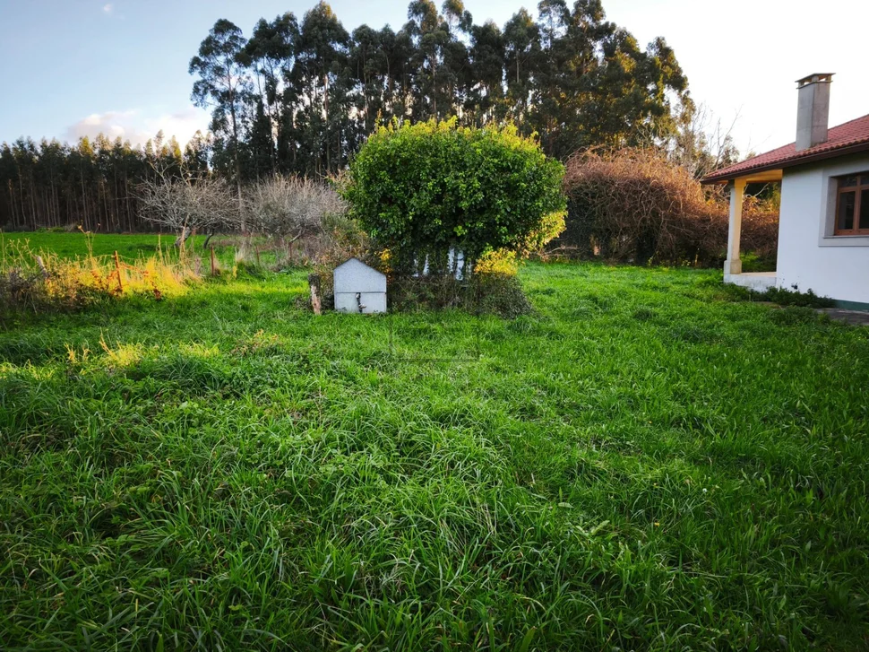 Casa independiente con finca