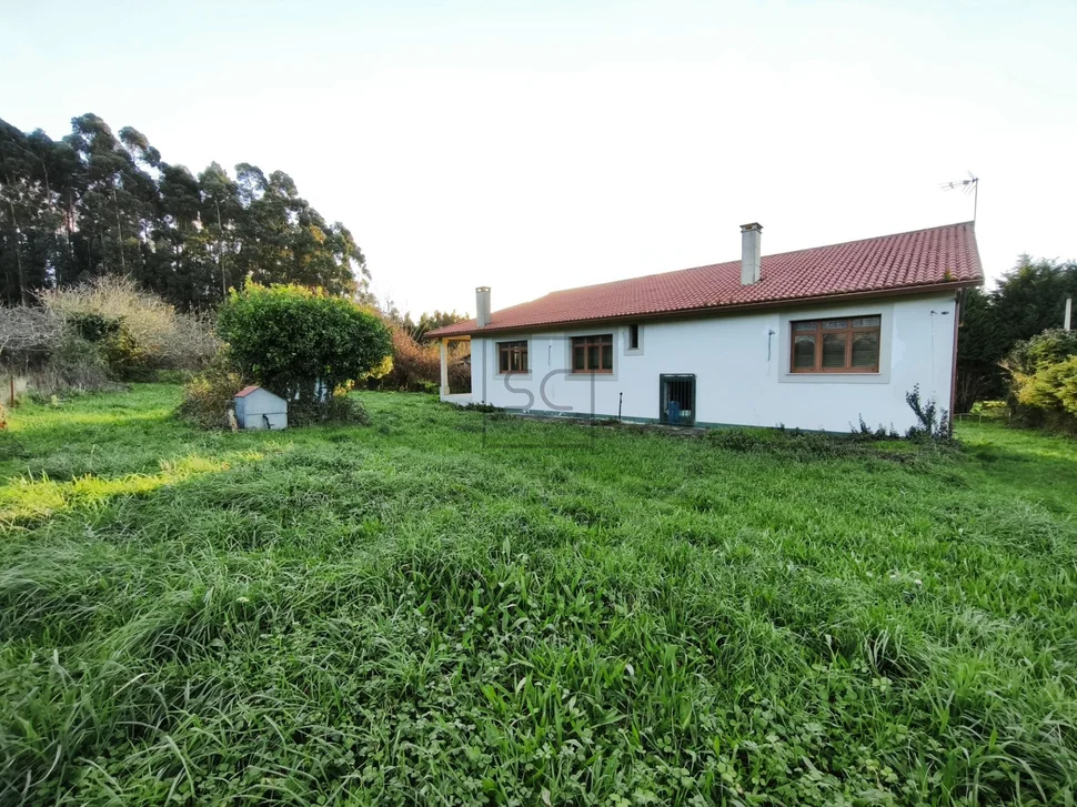 Casa independiente con finca