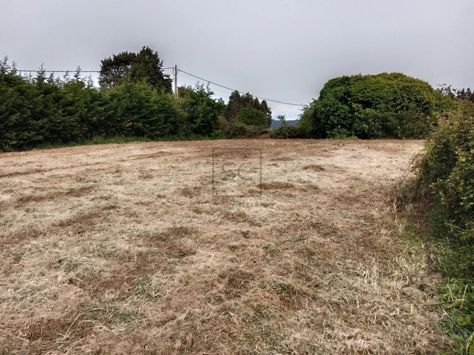 Casa independiente con finca