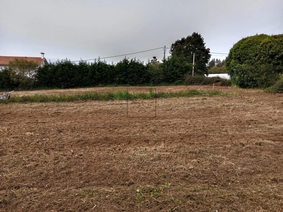 Casa independiente con finca