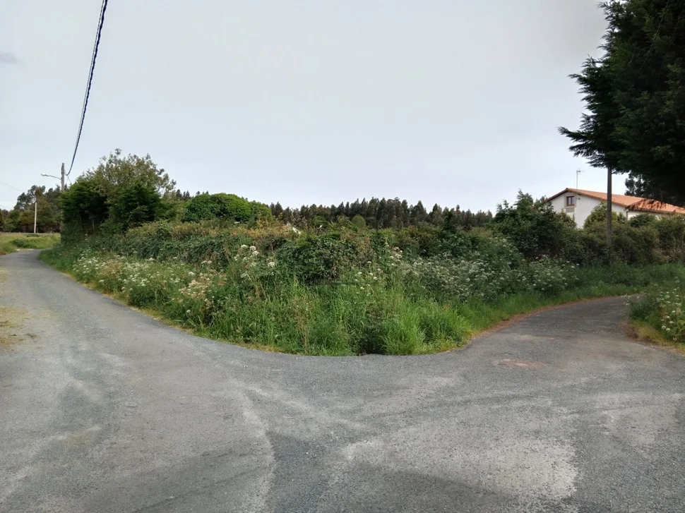 Casa independiente con finca