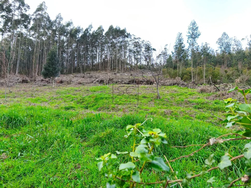 Casa con garaje, patio y finca en cedeira