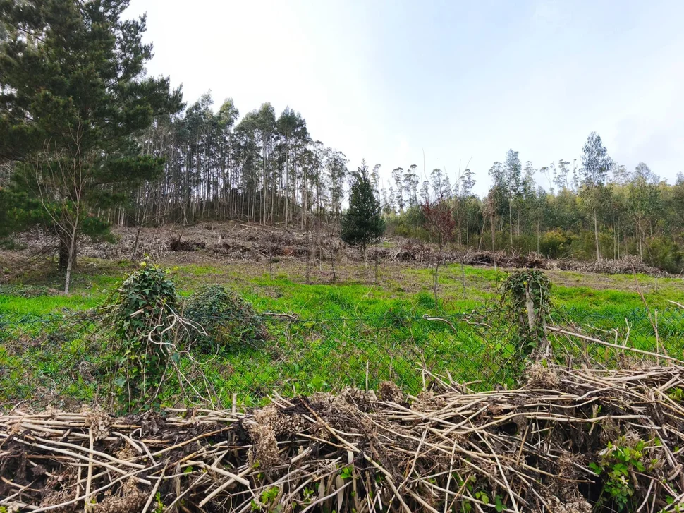 Casa con garaje, patio y finca en cedeira