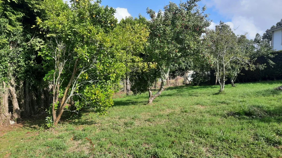 Casa unifamiliar con extensa parcela en san sadurniño