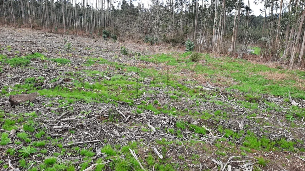 Terreno urbanizable para unifamilar en cornide – san sadurniño
