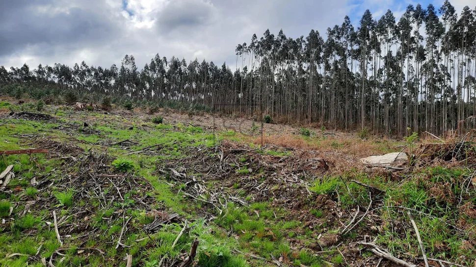 Terreno urbanizable para unifamilar en cornide – san sadurniño