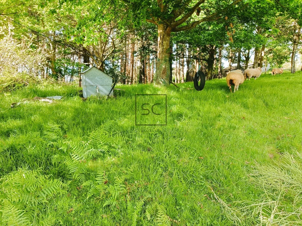 Casa con molino en freixeiro, narón