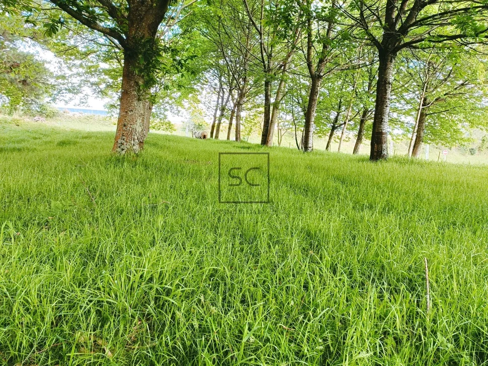 Casa con molino en freixeiro, narón