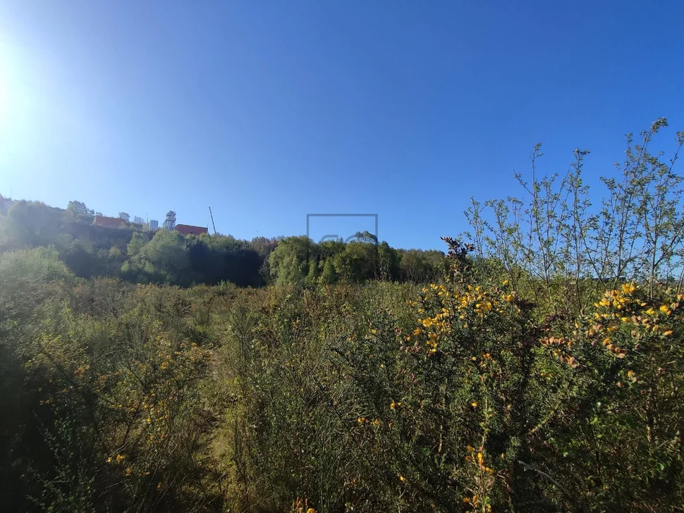 Terreno urbano industrial