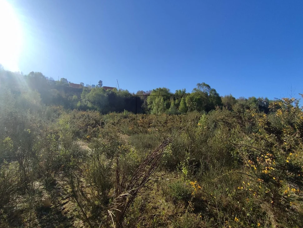 Terreno urbano industrial