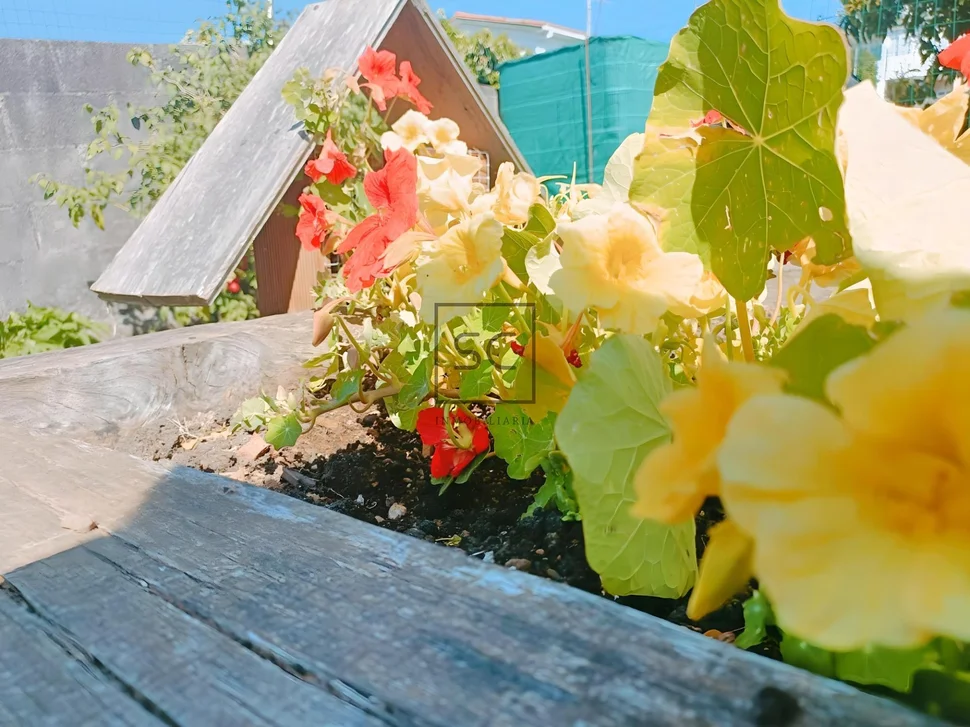 Amplia casa con vistas a la ría en fene