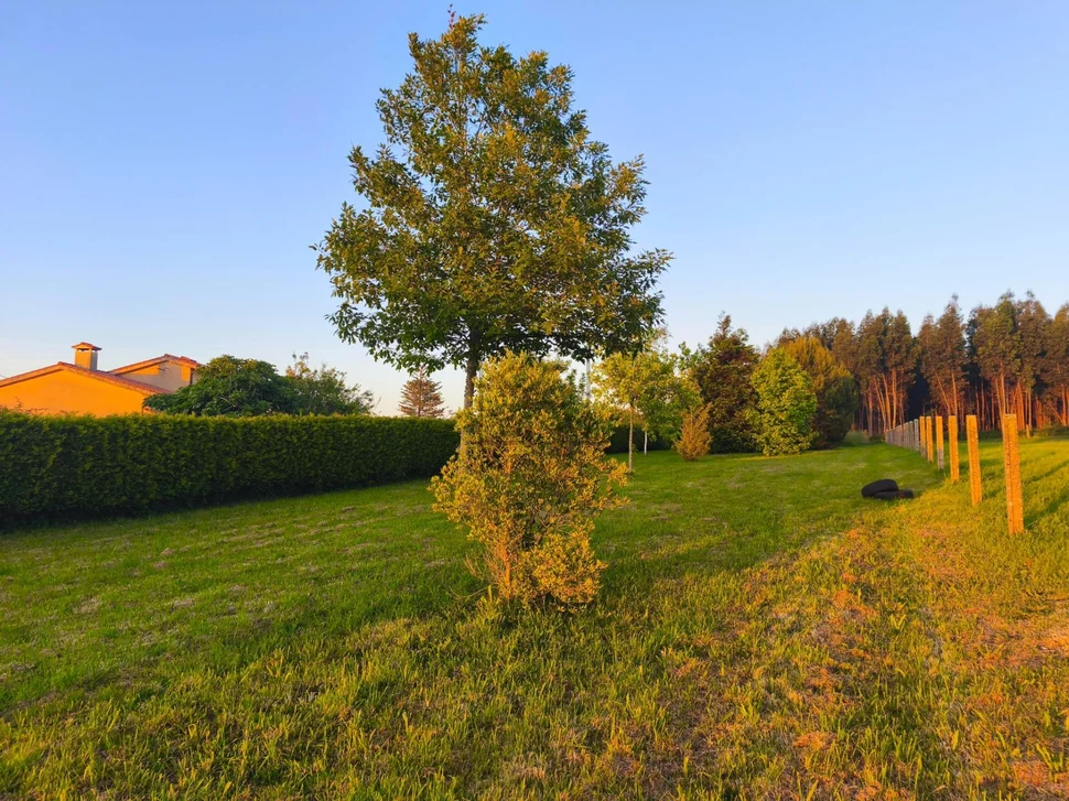 Finca edificable en franza, mugardos
