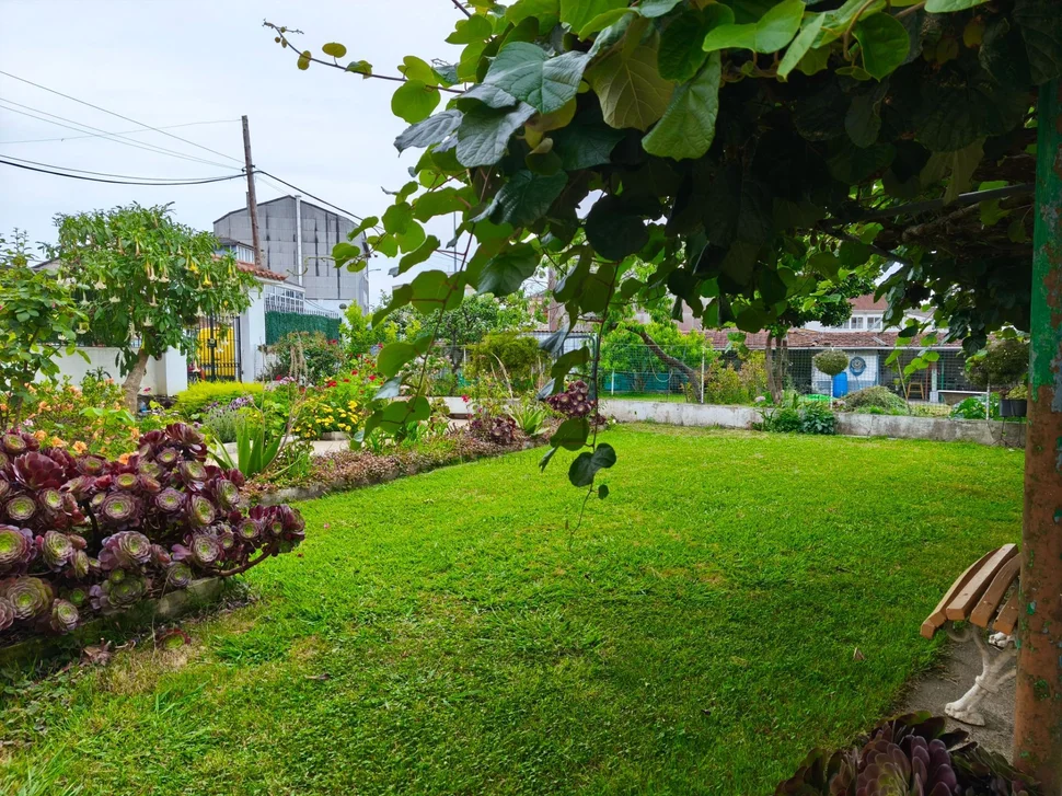 Dos viviendas en neda, con finca y aparcamiento