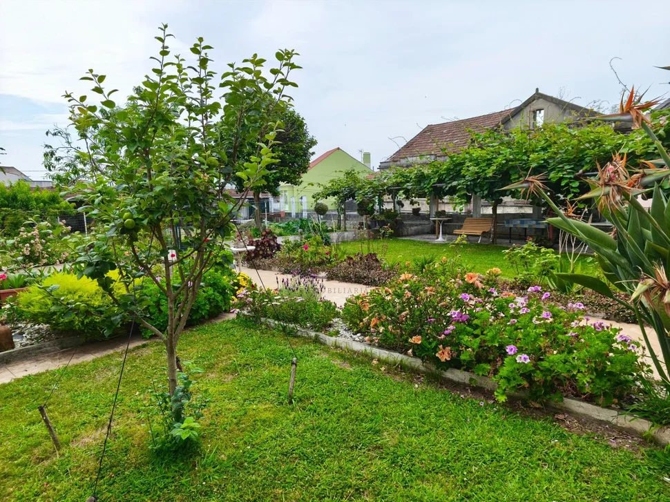 Dos viviendas en neda, con finca y aparcamiento