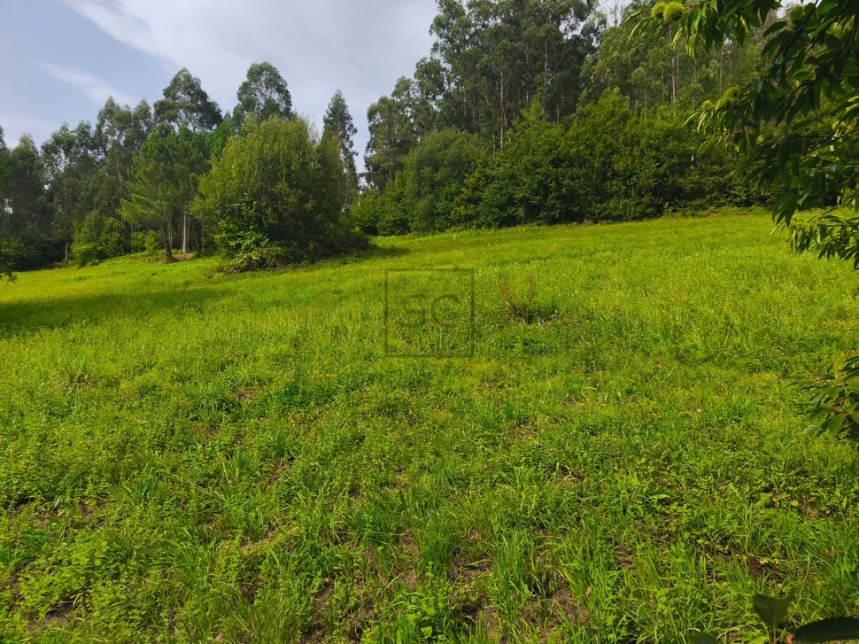 Casa de piedra con hórreo y finca en san sandurniño