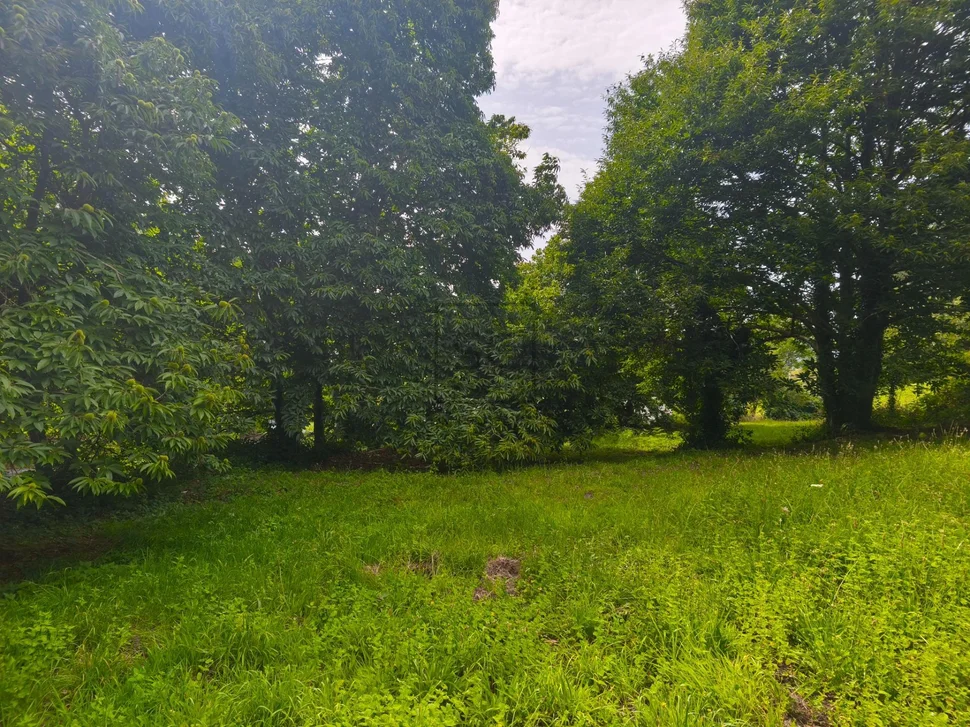 Casa de piedra con hórreo y finca en san sandurniño