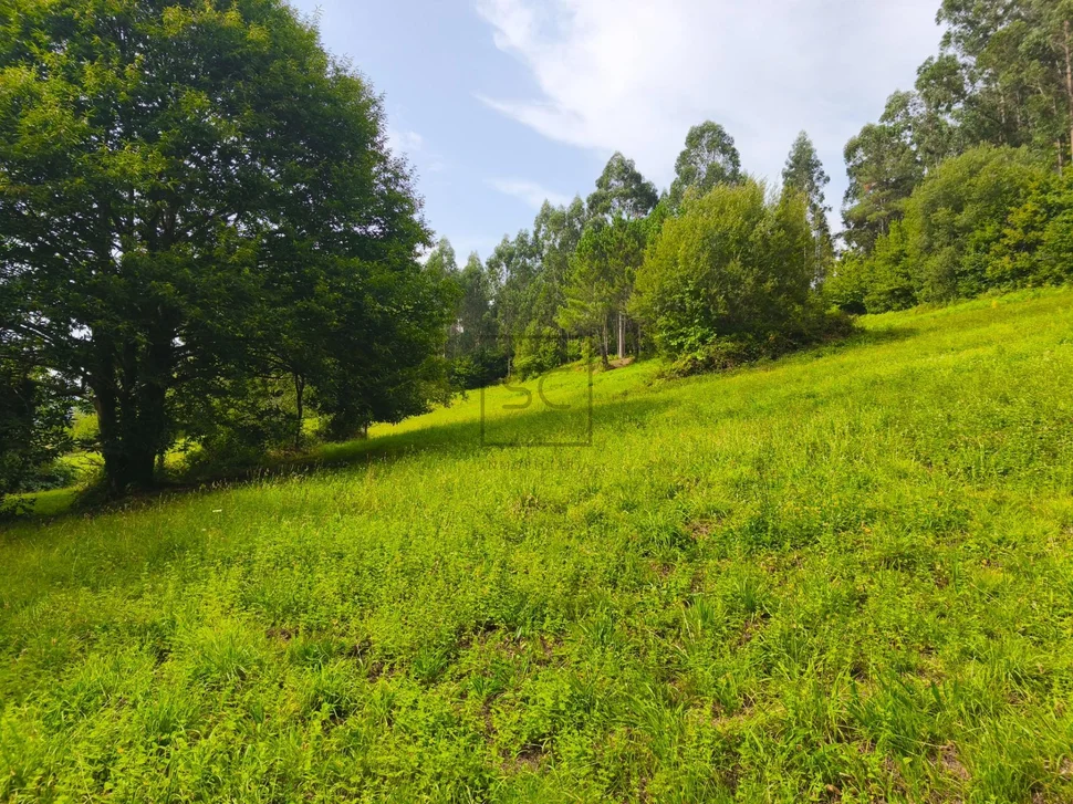 Casa de piedra con hórreo y finca en san sandurniño
