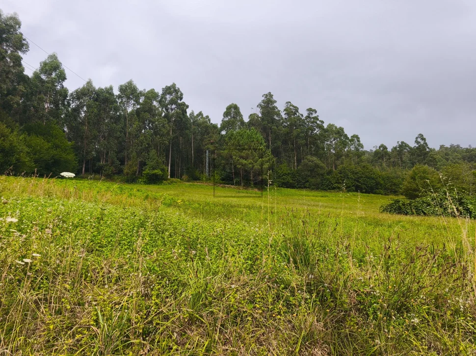 Casa de piedra con hórreo y finca en san sandurniño