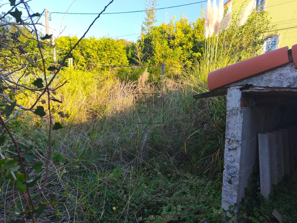 Dos viviendas independientes con finca en ferrol