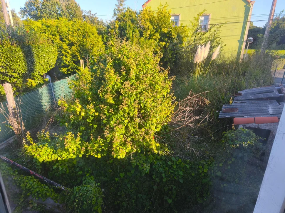 Dos viviendas independientes con finca en ferrol