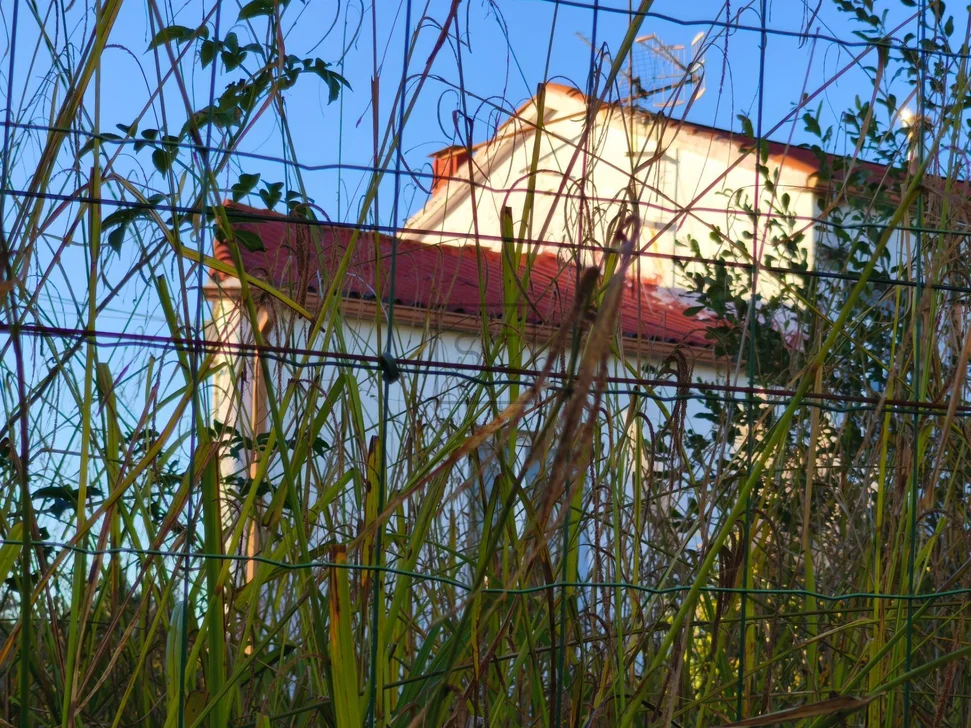 Dos Viviendas Independientes con Finca en Ferrol