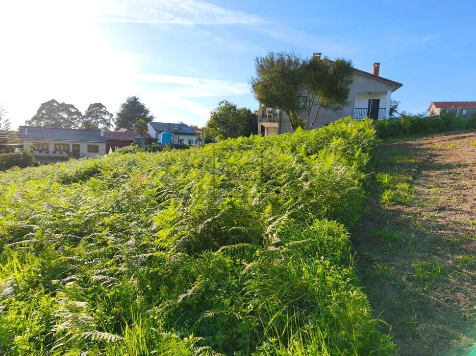 Parcela Edificable en Laraxe, Cabañas – foto 8