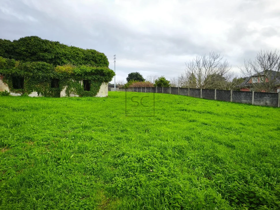 Finca edificable, o feal, narón
