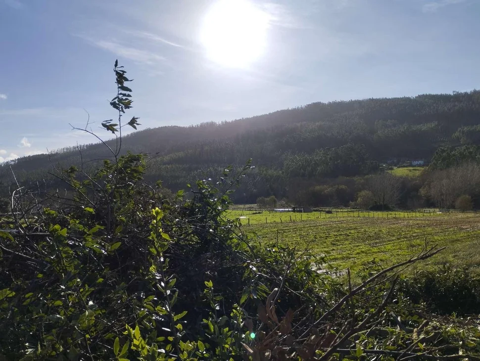 Casa para rehabilitar y gran finca en san román, cedeira