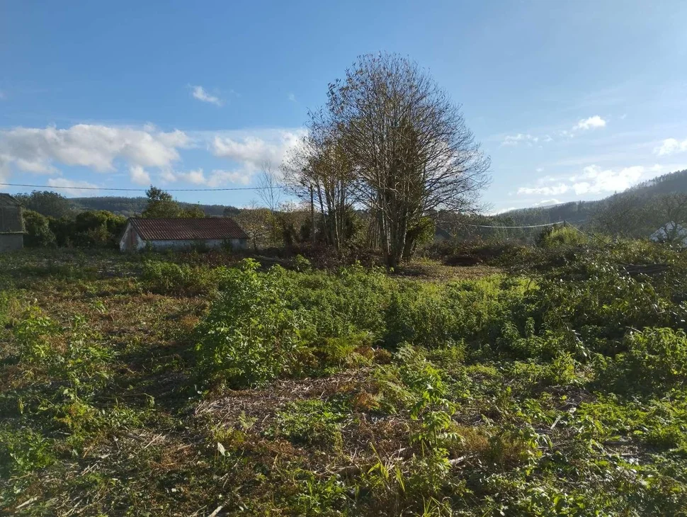 Casa para rehabilitar y gran finca en san román, cedeira