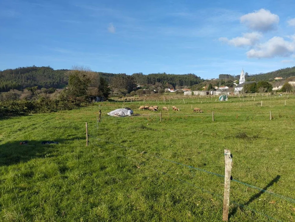 Casa para rehabilitar y gran finca en san román, cedeira