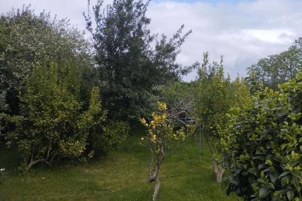 Gran casa en san sadurniño, a coruña