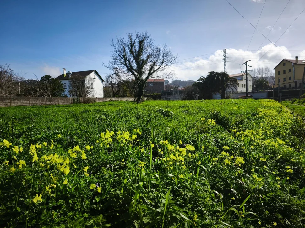 Finca edificable en Barallobre, Fene. – foto 3