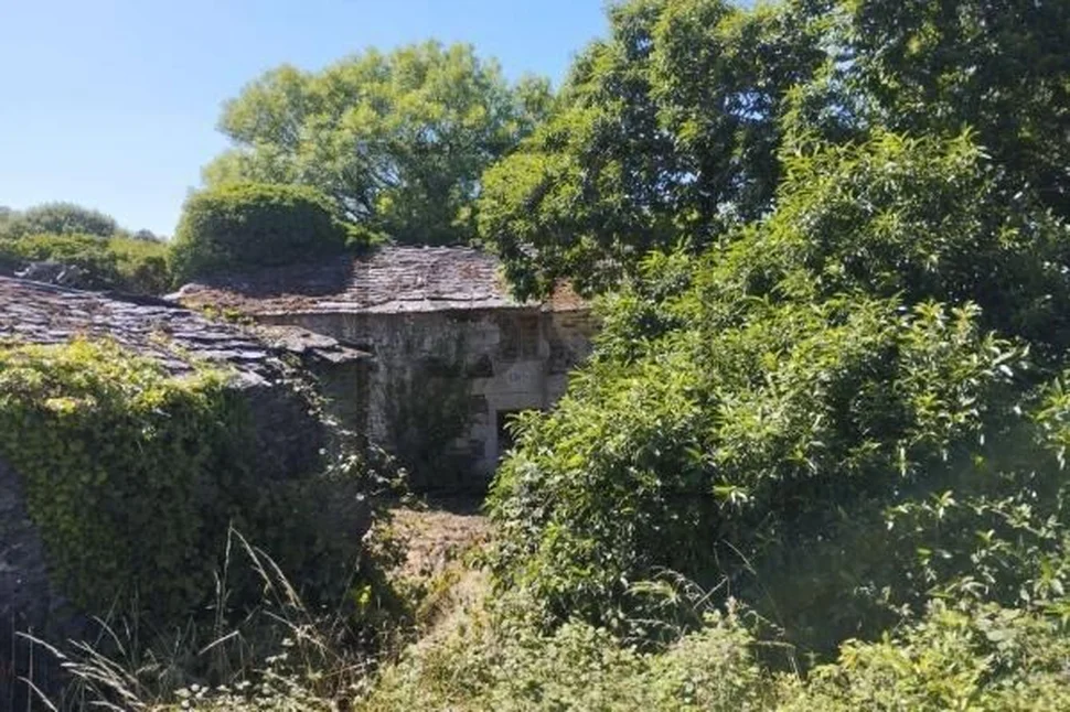 Casa para rehabilitar con gran finca en begonte