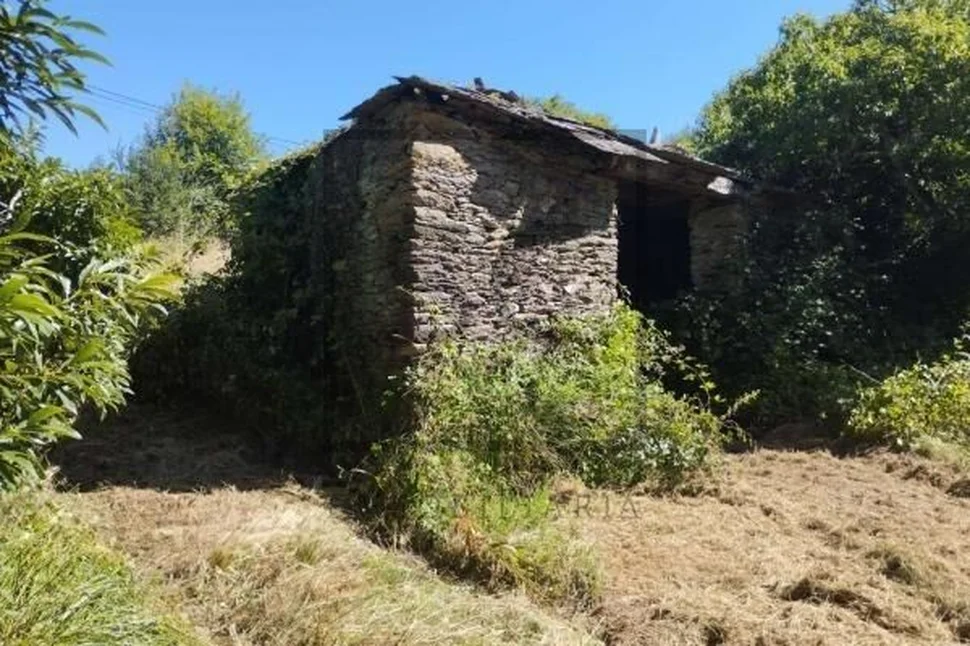 Casa para rehabilitar con gran finca en begonte