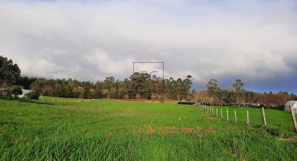 Finca edificable para unifamiliar en mosende, valdoviño