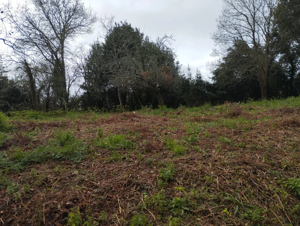 Casa para rehabilitar en cabañas