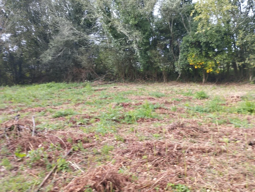 Casa para rehabilitar en cabañas