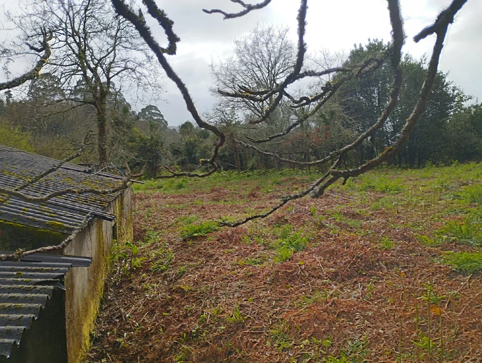Casa para rehabilitar en cabañas