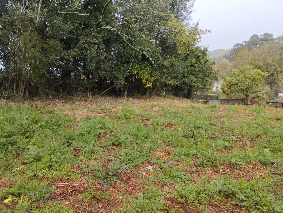 Casa para rehabilitar en cabañas