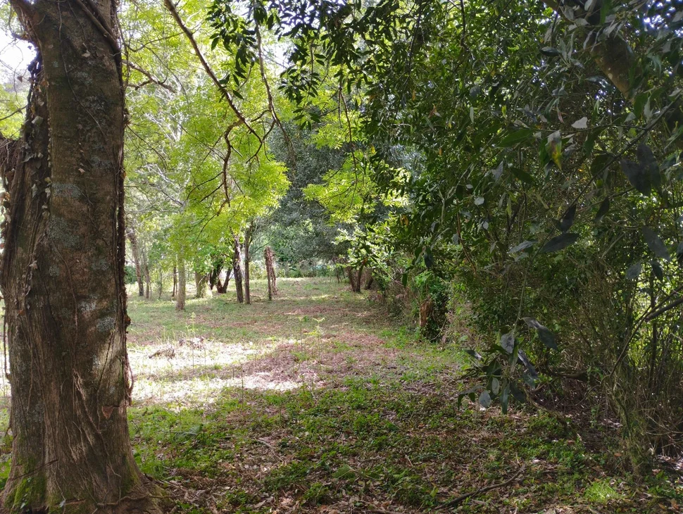 Casa para rehabilitar en Cabañas.