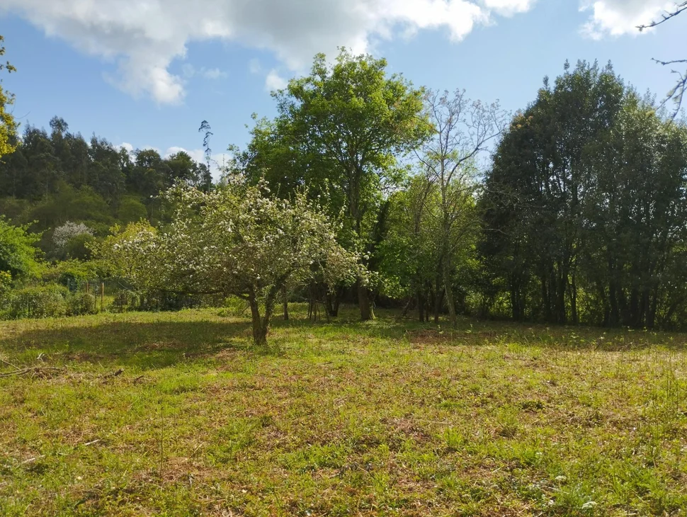 Casa para rehabilitar en Cabañas.