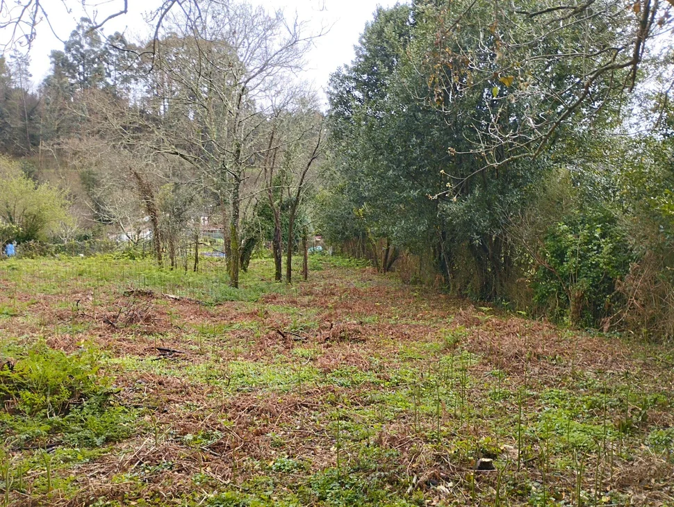 Casa para rehabilitar en Cabañas.