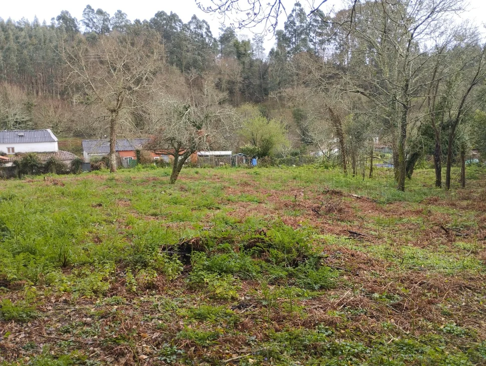Casa para rehabilitar en Cabañas.