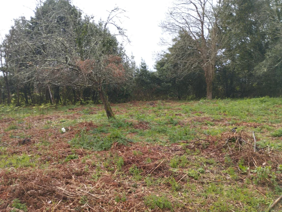 Casa para rehabilitar en Cabañas.