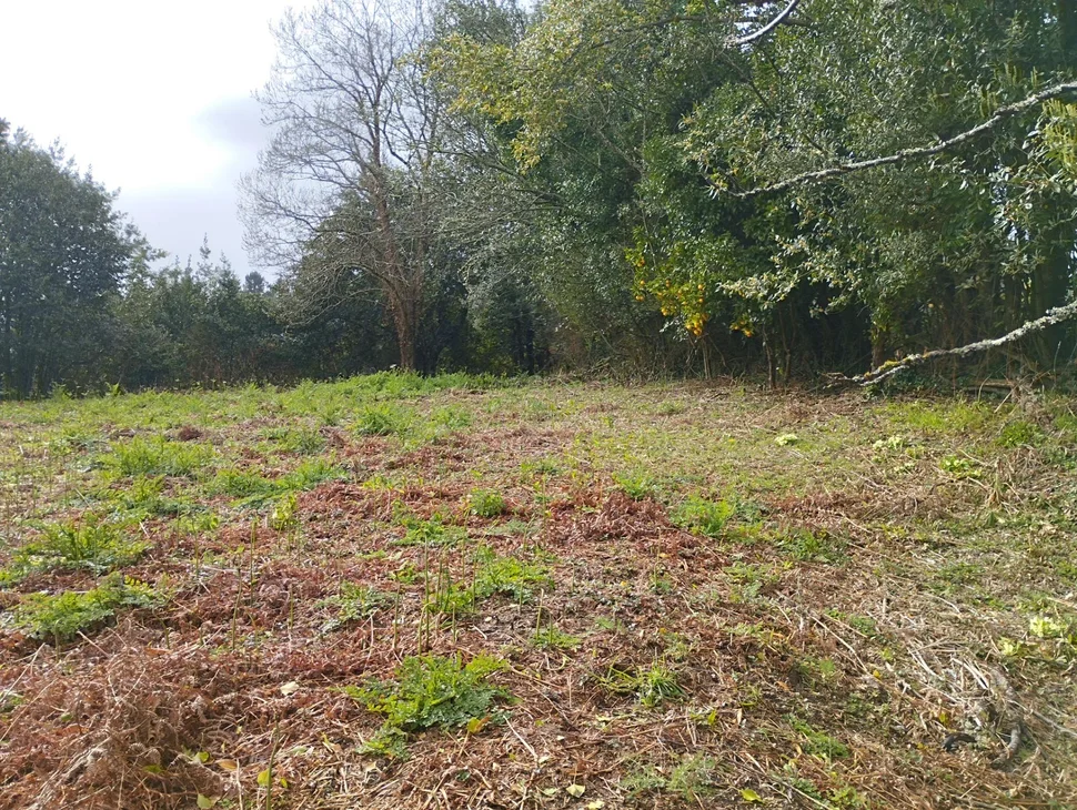 Casa para rehabilitar en Cabañas.