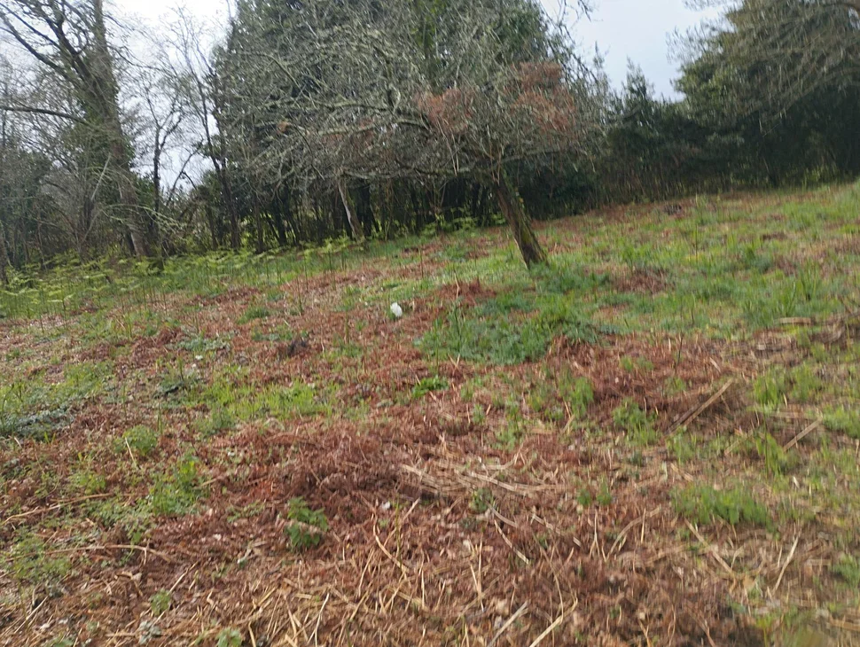 Casa para rehabilitar en Cabañas.