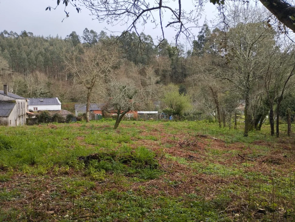 Casa para rehabilitar en Cabañas.