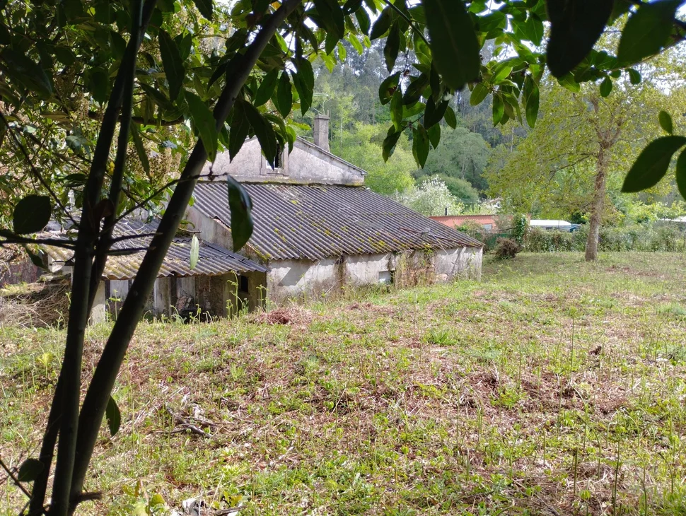 Casa para rehabilitar en Cabañas.