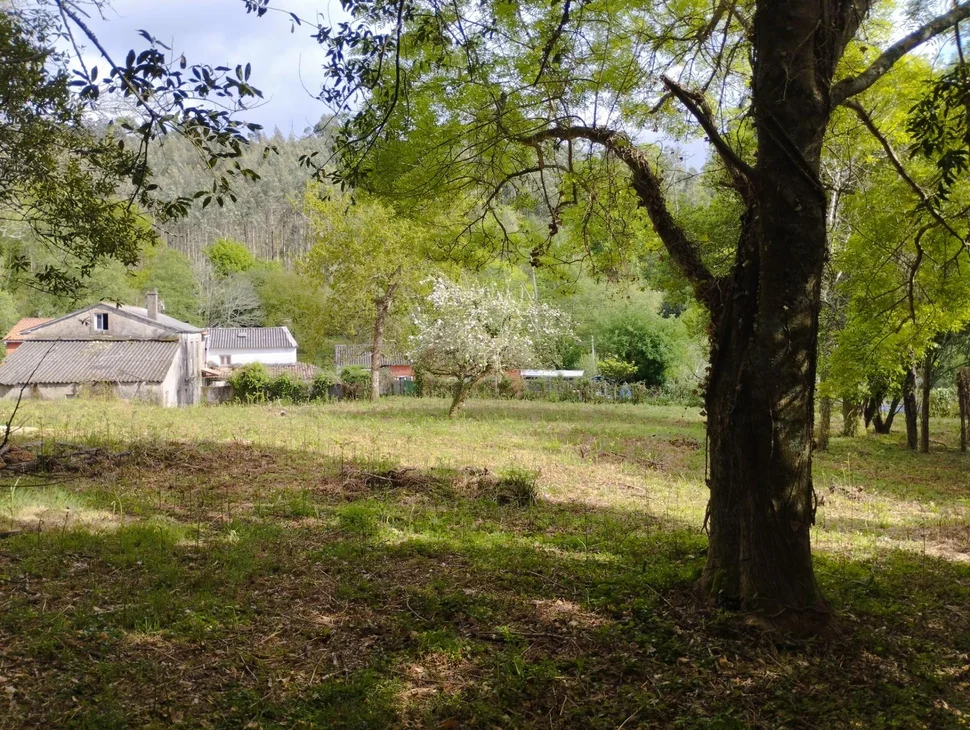 Casa para rehabilitar en Cabañas.