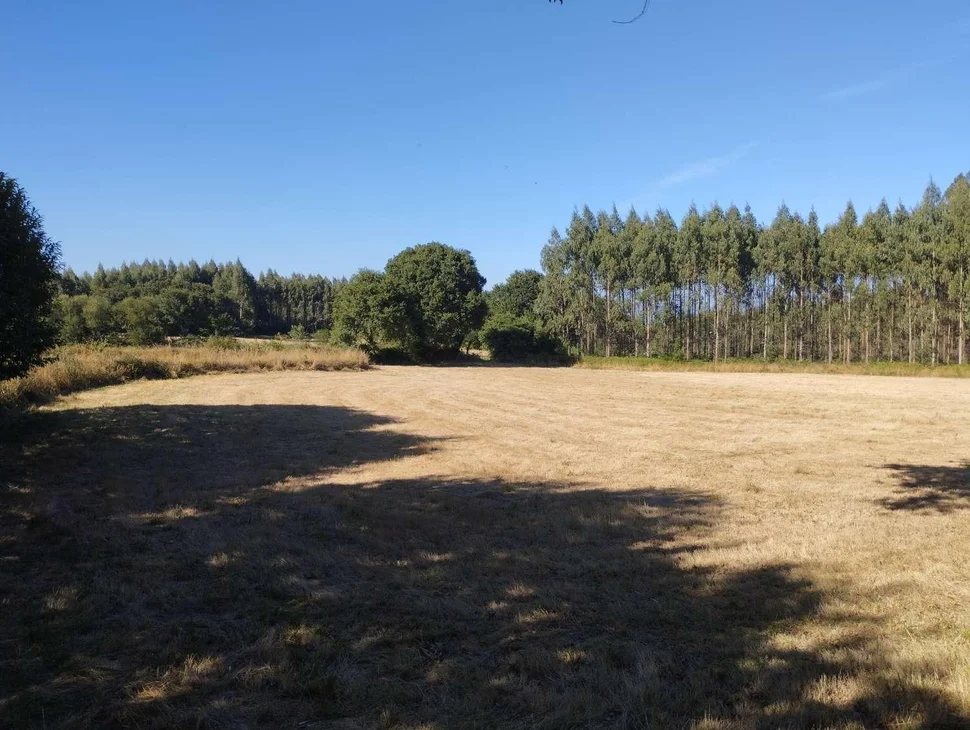 Finca en a sabugeira, begonte, lugo